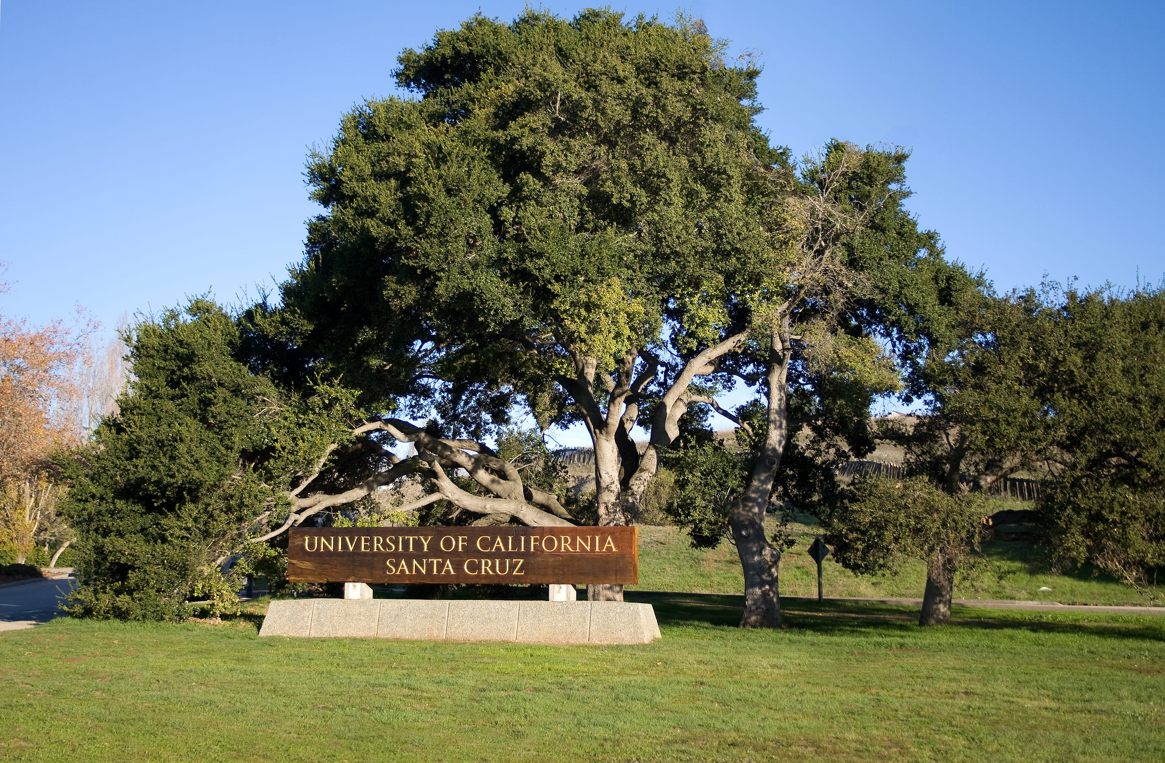 UCSC campus entrance sign with tree in background