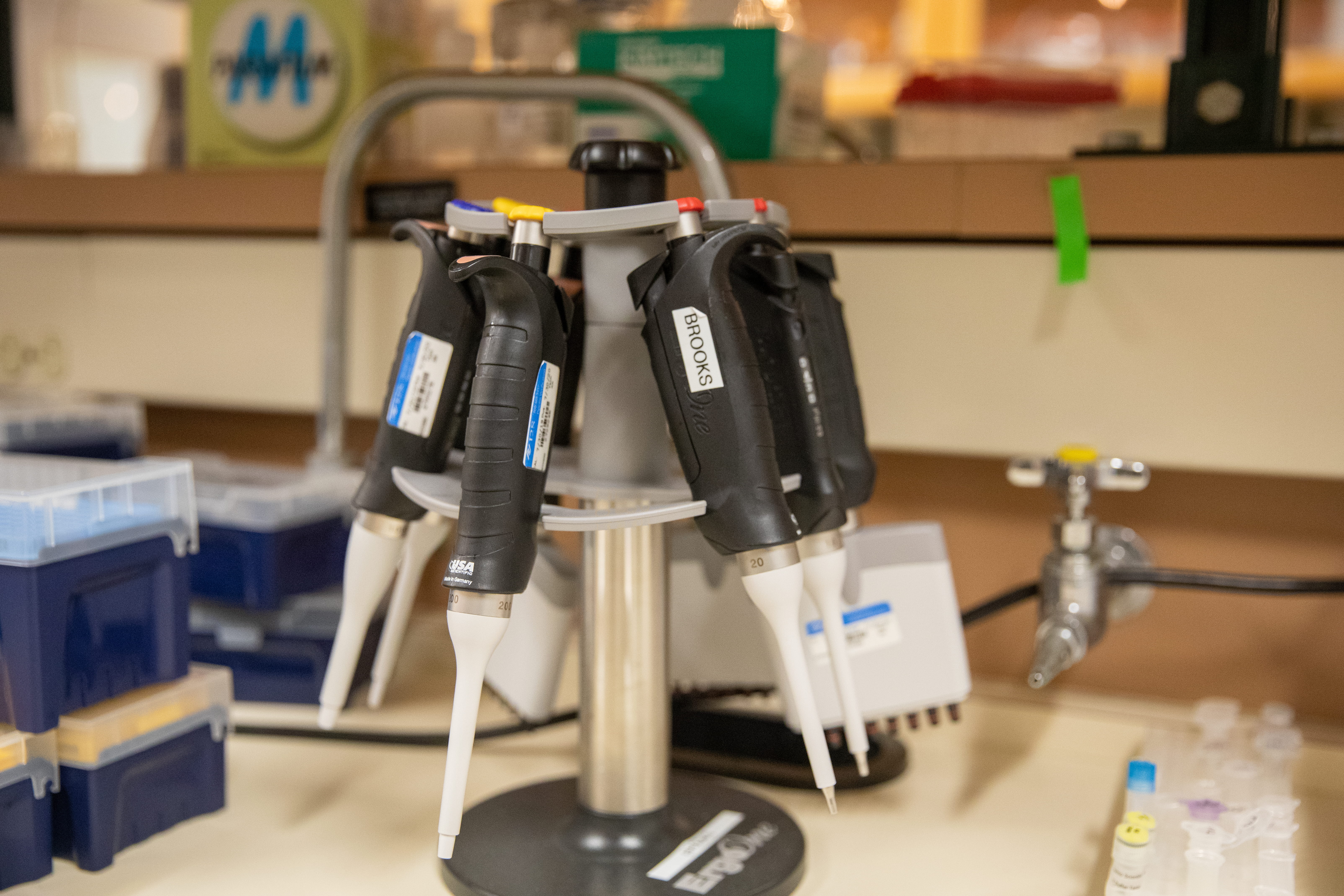 Pipettes hanging in stand on lab bench with pipette tip box and sample tubes visible