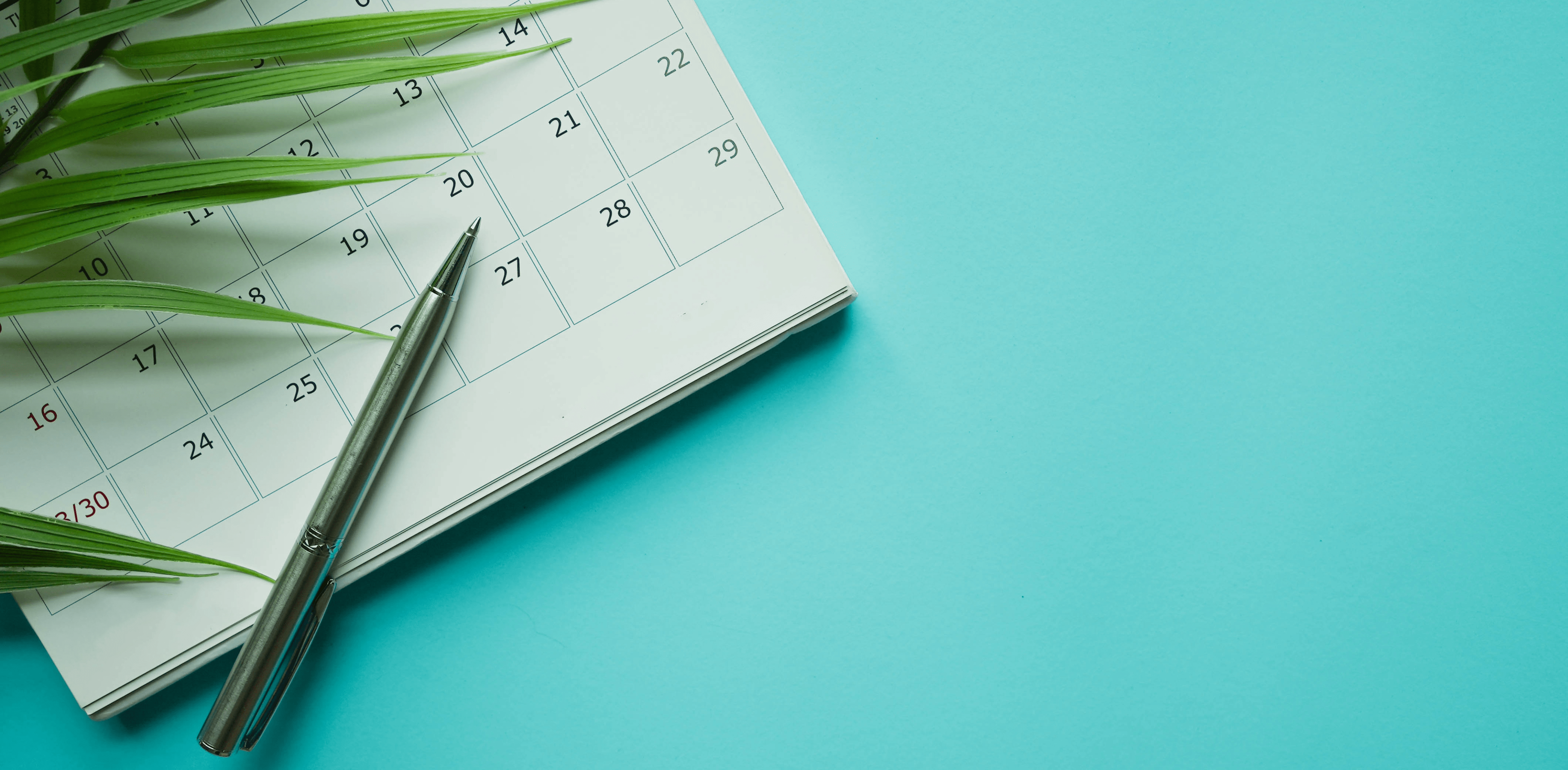 calendar background with pen and plant