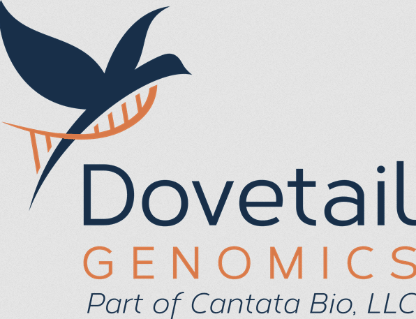 Logo for Dovetail Genomics, a part of Cantata Bio